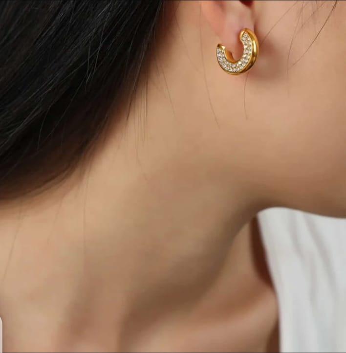 Hoop Earrings