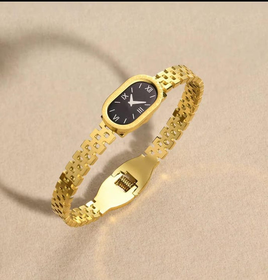 Stainless Watch Display Dial